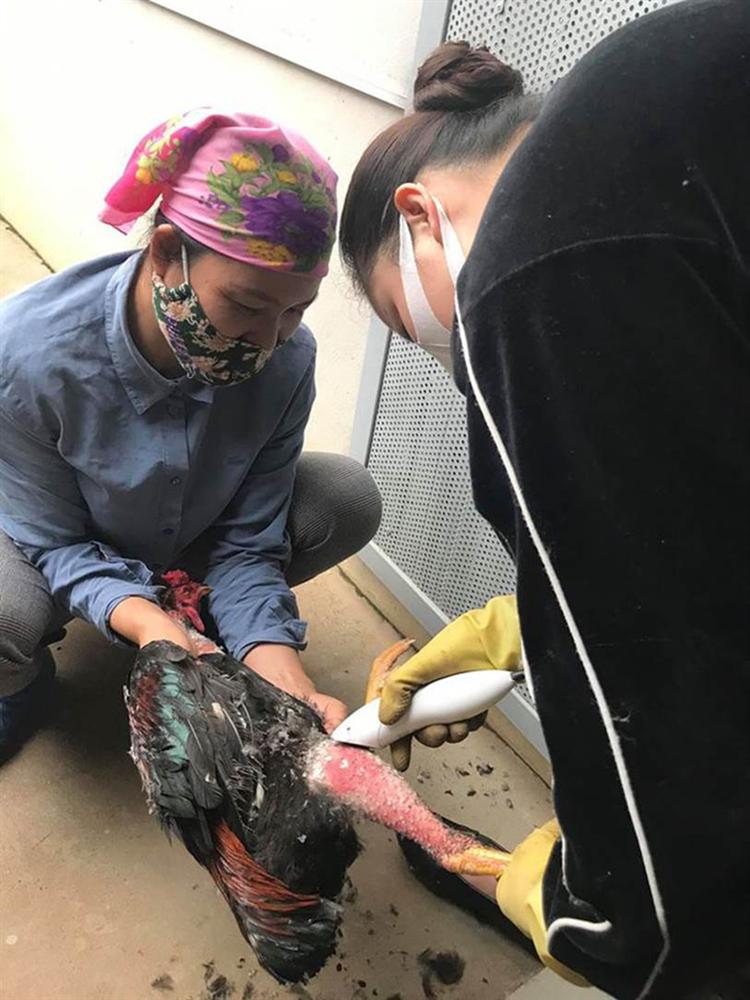 Cách ly xã hội ngày thứ 4, bà mẹ U40 bất ngờ lôi tông đơ ra cạo lông gà nhưng sự thật phía sau mới khiến ai nấy cười bò-1