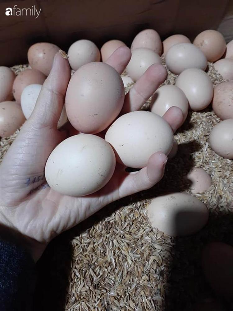 Vợ chồng trẻ thu nhập 10 triệu/tháng, sống giữa Hà Nội nhưng chỉ tiêu 3,8 triệu cho gia đình 4 người-2