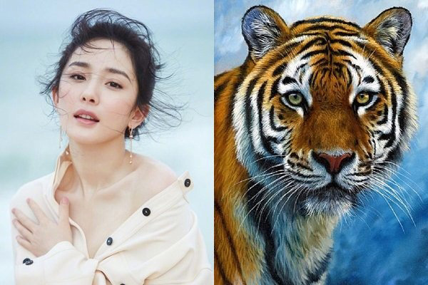 3 cung hoàng đạo may mắn bậc nhất trong tháng 4, làm gì cũng hanh thông suôn sẻ-4