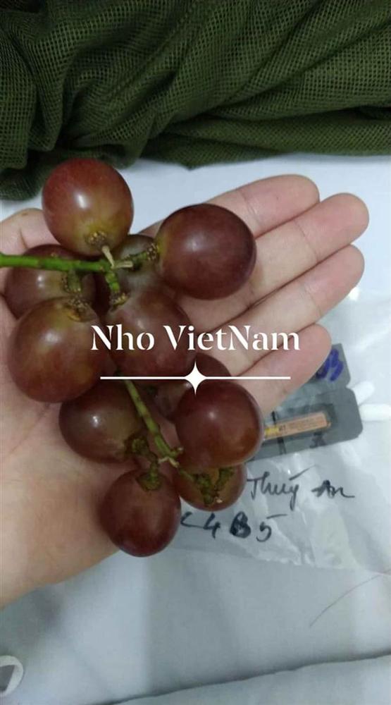 Những phần cơm cách ly bắt mắt và đầy đủ dinh dưỡng gây sốt MXH: Thực đơn thay đổi liên tục, có thêm cả nho Úc, táo Canada-8