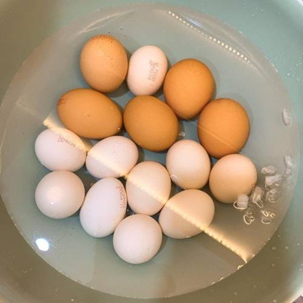 Chồng chăm con, Lê Phương đảm đang&nbsp;làm trứng lòng đào nước tương bất bại-3