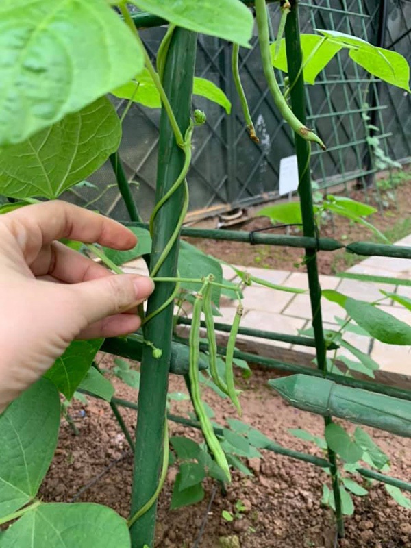 Hoa hậu Nguyễn Thị Huyền để lộ ảnh con gái xinh xắn cùng cuộc sống rất nhiều niềm vui-10