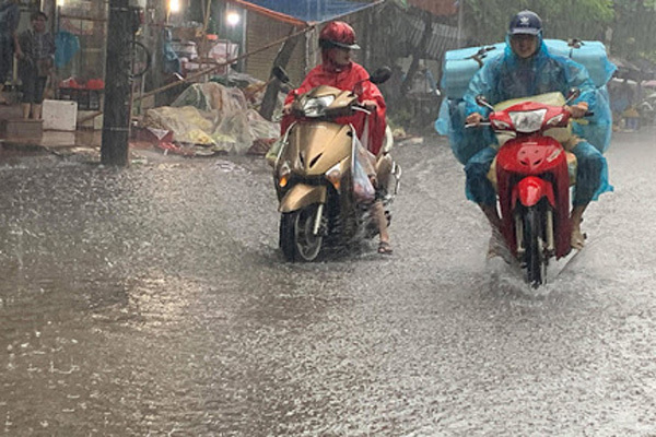 Bắt nữ doanh nhân nổi tiếng ở Thái Bình-2