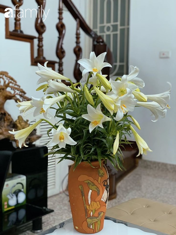 Chị em ở nhà mùa dịch, trình cúng phây càng chuyên nghiệp, bày biện không khác gì nhà hàng-17