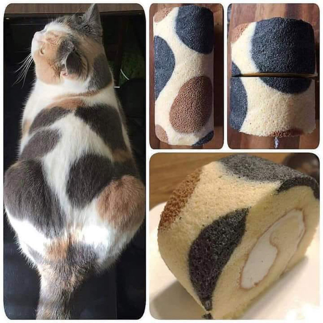 Còn cả chuỗi ngày dài ở nhà tránh dịch, hội chị em vẫn hừng hực khí thế nấu ăn, ngờ đâu kết quả toàn nữ công gia phá-1