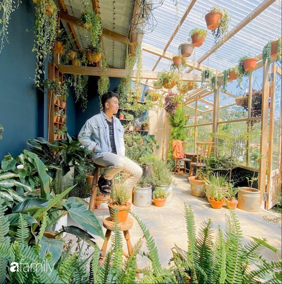 Nghỉ ở nhà dài ngày, chàng trai Sài Gòn biến ban công 4m² nhàm chán thành khu vườn xanh mướt đủ loại cây-1