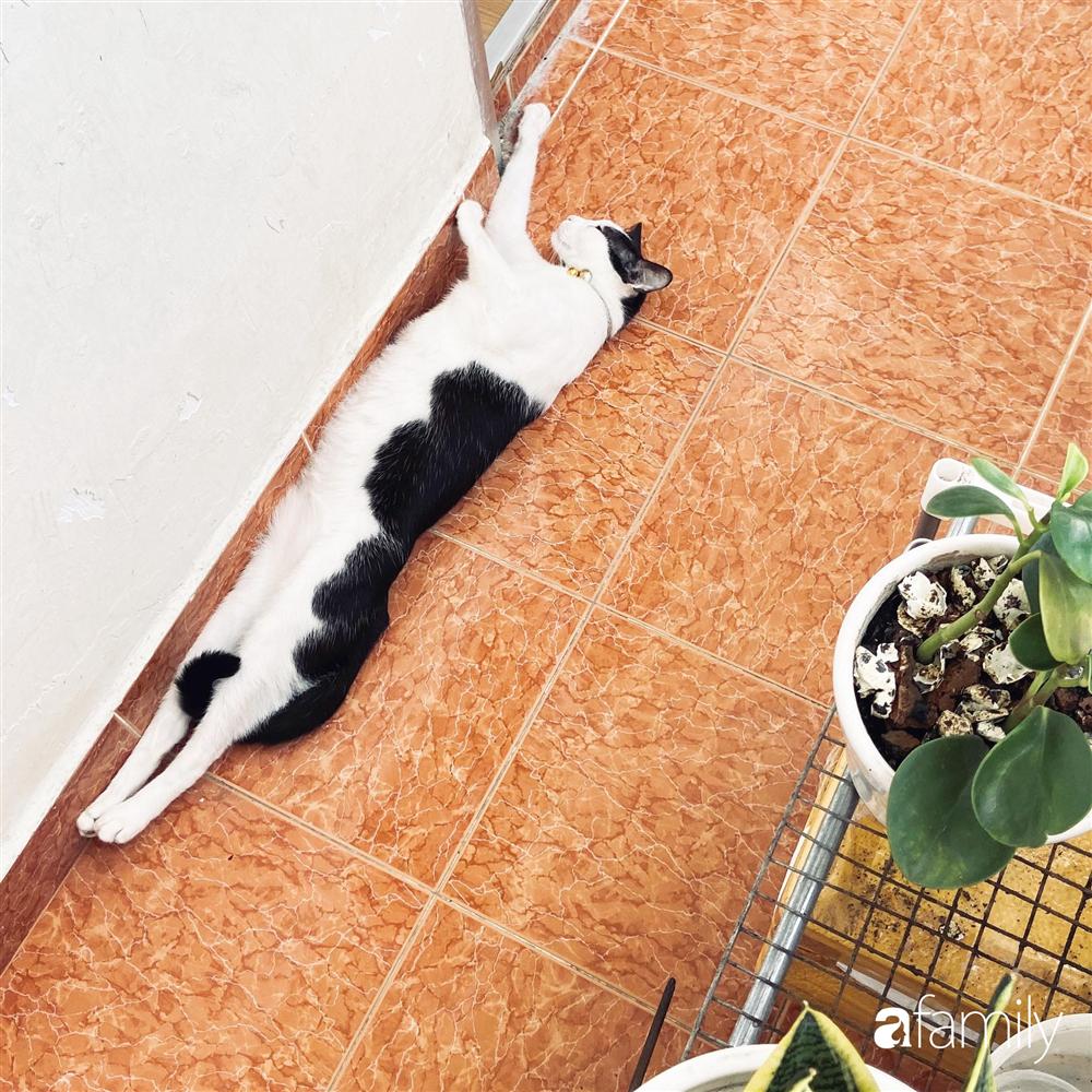 Nghỉ ở nhà dài ngày, chàng trai Sài Gòn biến ban công 4m² nhàm chán thành khu vườn xanh mướt đủ loại cây-12