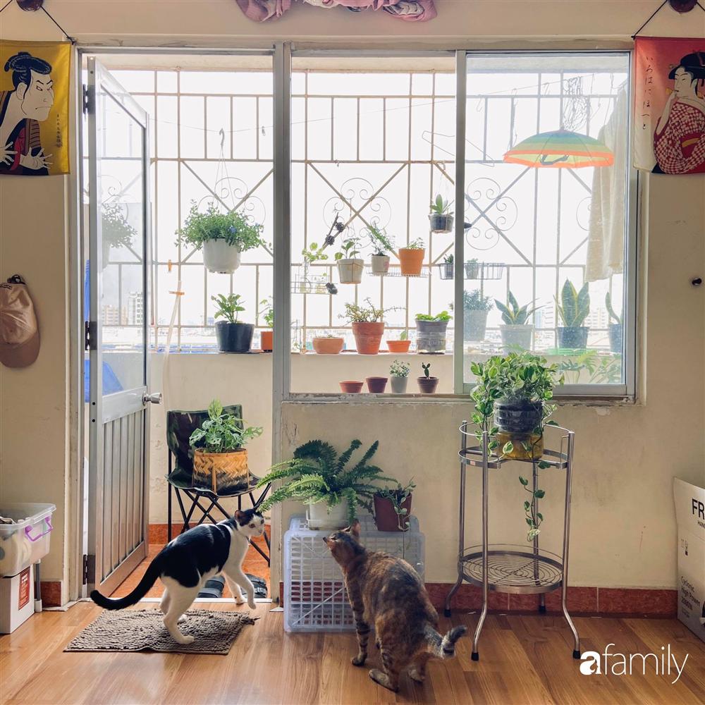 Nghỉ ở nhà dài ngày, chàng trai Sài Gòn biến ban công 4m² nhàm chán thành khu vườn xanh mướt đủ loại cây-15