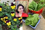 Cùng nghe nàng dâu Việt chia sẻ kinh nghiệm làm vườn hữu cơ từ A đến Z giúp chị em bắt tay vào làm không tốn thời gian vô ích-20