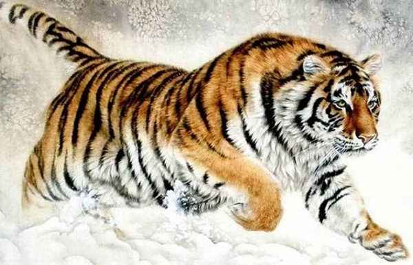 3 con giáp mở mắt trái thấy thần Tài, mở mắt phải gặp quý nhân, 40 ngày tới tình tiền đều viên mãn-1