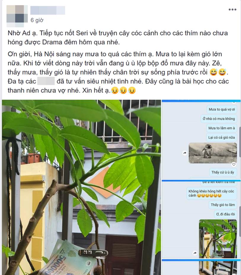 Trót ăn 1 trái cóc cảnh của vợ, ông chồng khổ sở tìm cách thoát tội nhưng chuộc lỗi đỉnh cao thế này thì trường sinh bất lão rồi-3