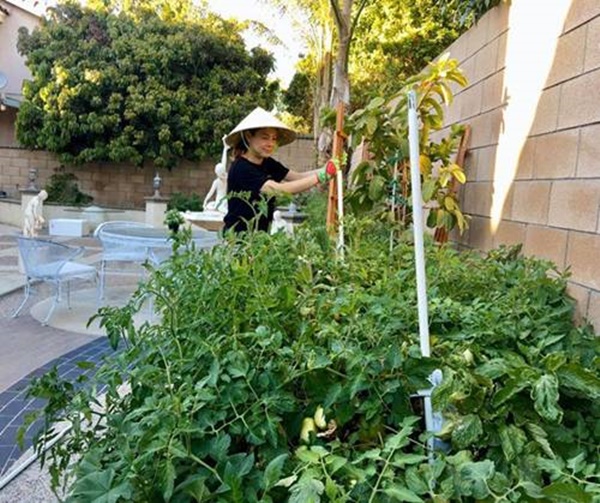 Đổi món mùa dịch, học ngay tuyệt chiêu món gà nghìn like của Thanh Thảo, vợ Đăng Khôi-1