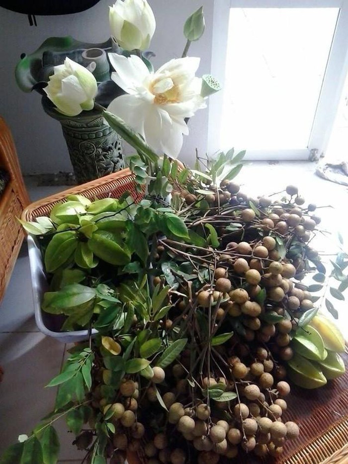 Nhà vườn 10.000m2 của nghệ sĩ Giang còi ngập hoa và trái cây-1