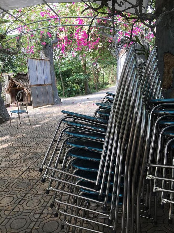 Nhà vườn 10.000m2 của nghệ sĩ Giang còi ngập hoa và trái cây-12