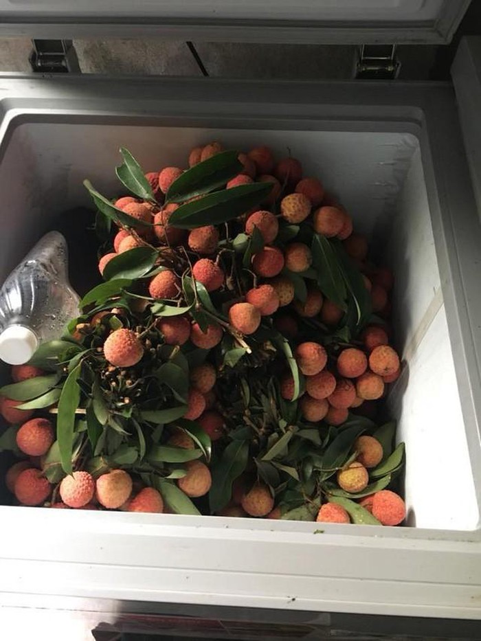 Nhà vườn 10.000m2 của nghệ sĩ Giang còi ngập hoa và trái cây-19