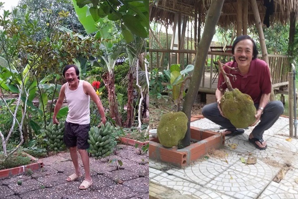 Showbiz đóng băng, Minh Luân bỏ phố về quê cải tạo nhà vườn rộng 3.000m2-10