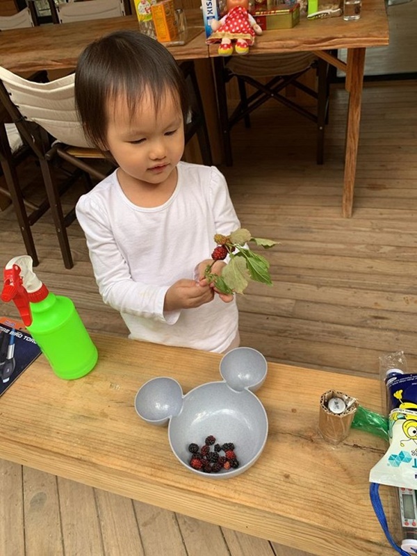 Trốn dịch ở biệt thự Đà Lạt, Phan Như Thảo trổ tài nữ công gia chánh cùng chồng-5