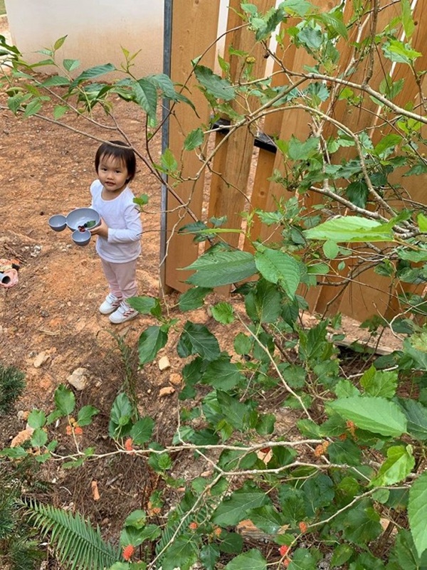 Trốn dịch ở biệt thự Đà Lạt, Phan Như Thảo trổ tài nữ công gia chánh cùng chồng-11