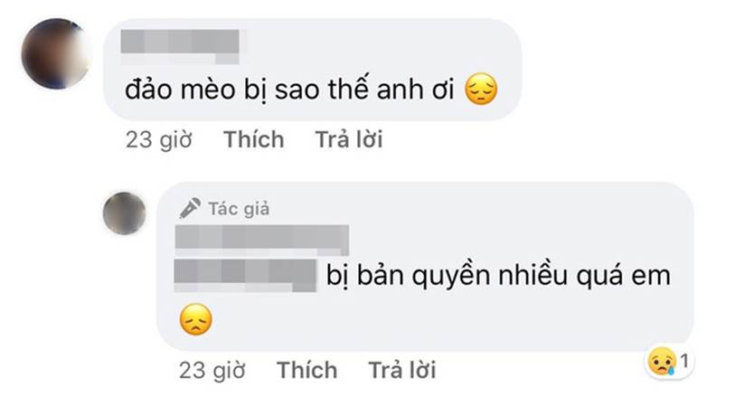 Đảo Mèo - group có đến hơn 2 triệu thành viên nổi tiếng nhất nhì MXH về thú cưng bất ngờ biến mất, xôn xao tin dàn admin bị tố bóc lột thú cưng, lừa đảo quyên góp?-5