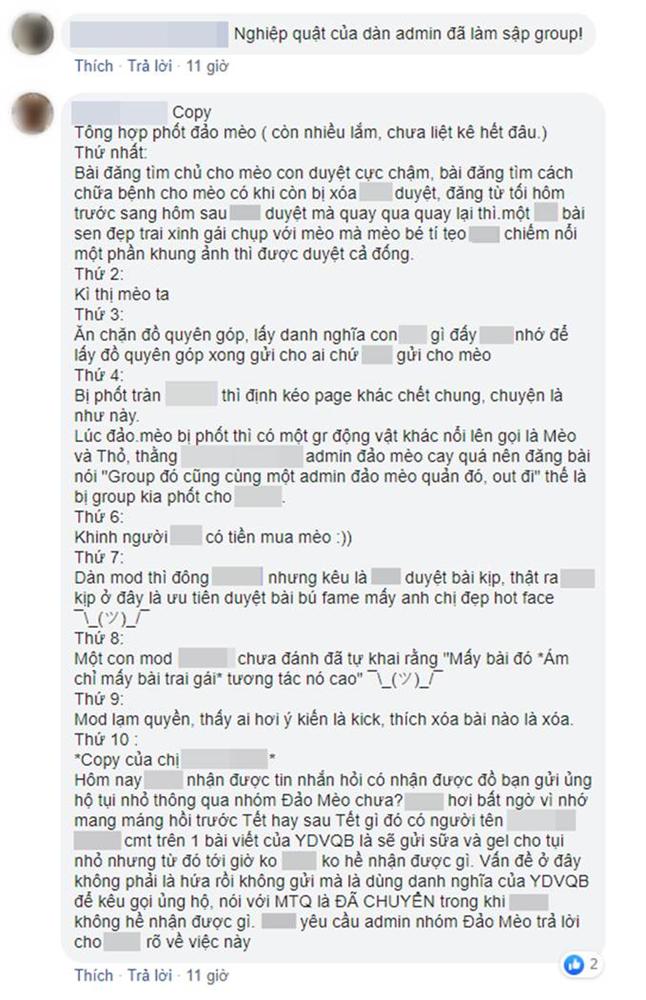 Đảo Mèo - group có đến hơn 2 triệu thành viên nổi tiếng nhất nhì MXH về thú cưng bất ngờ biến mất, xôn xao tin dàn admin bị tố bóc lột thú cưng, lừa đảo quyên góp?-8