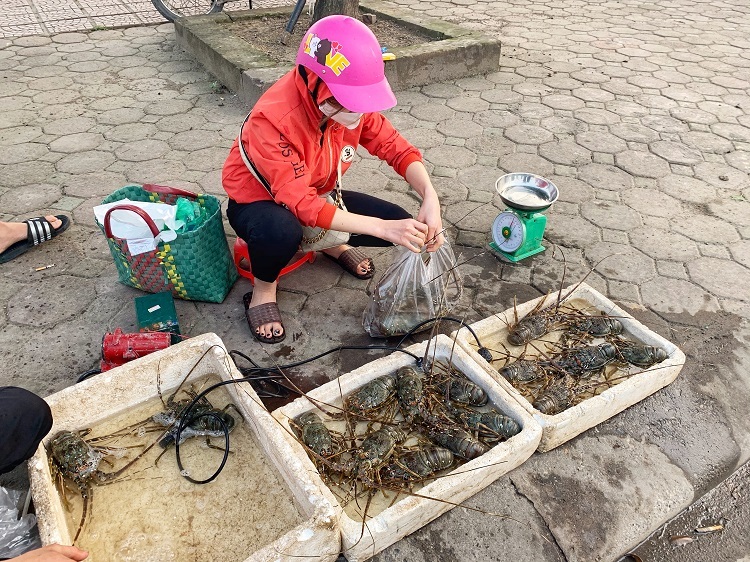 Tôm hùm xanh giá rẻ bán đầy vỉa hè, dân tranh nhau mua-3