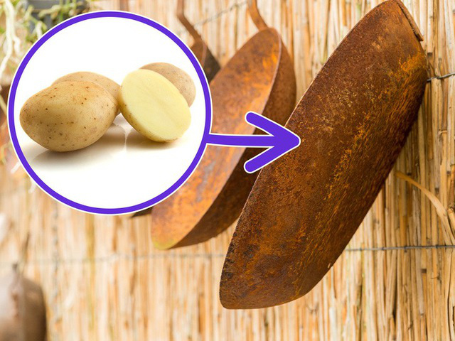 Having potatoes in the house without knowing this amazing trick-2