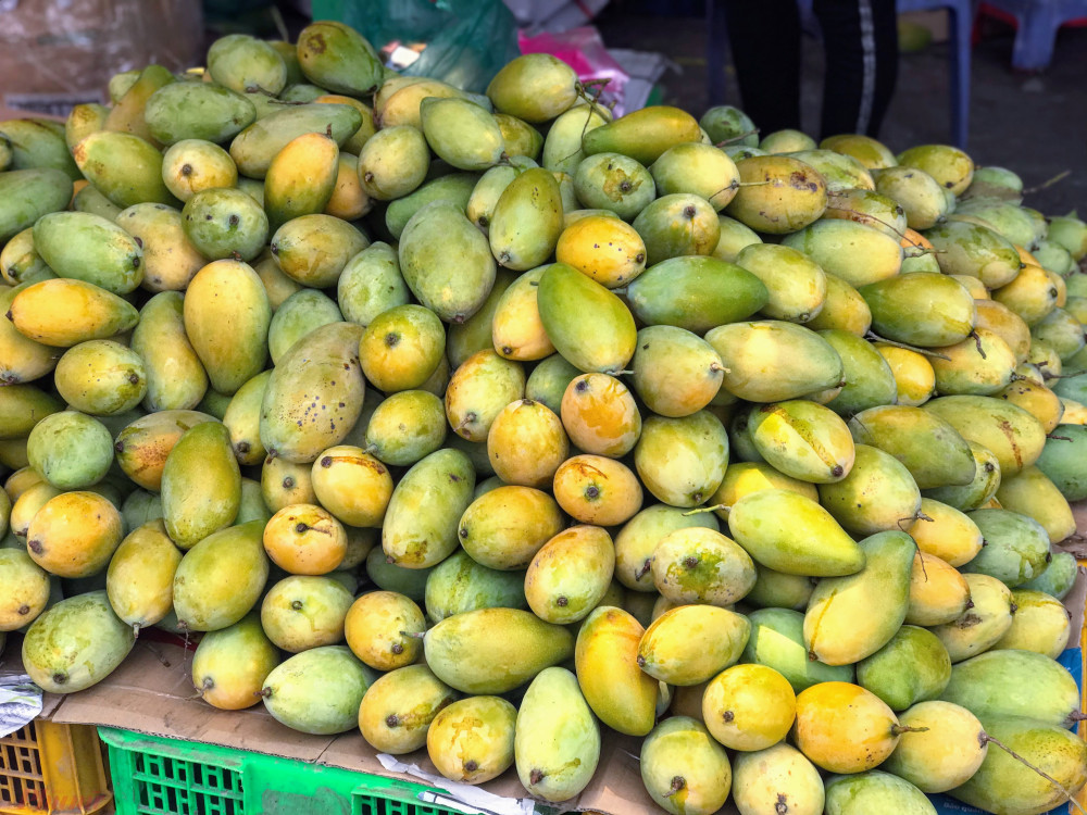 Xoài đổ đống bán đầy đường phố, giá chỉ 10.000 đồng/kg-2