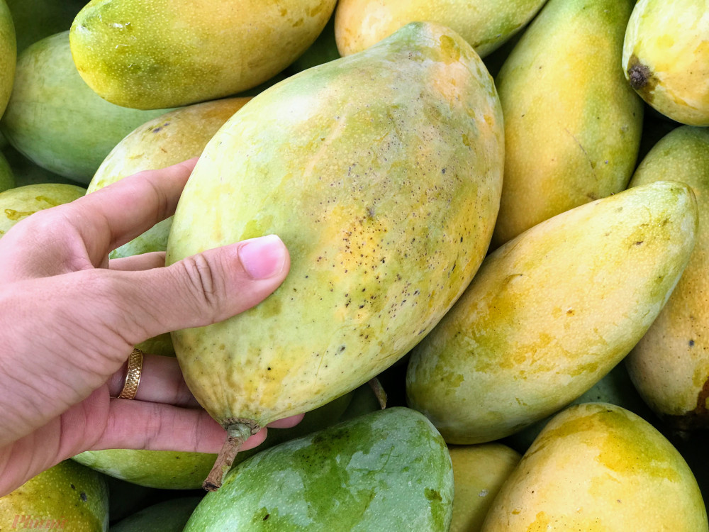 Xoài đổ đống bán đầy đường phố, giá chỉ 10.000 đồng/kg-6