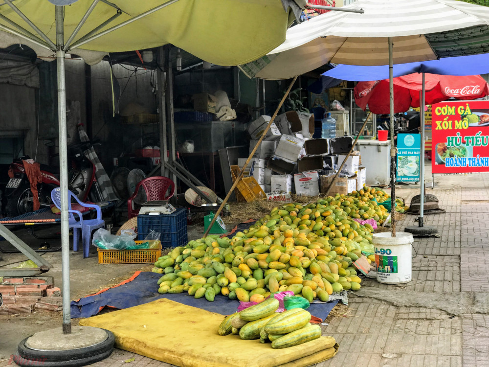 Xoài đổ đống bán đầy đường phố, giá chỉ 10.000 đồng/kg-7