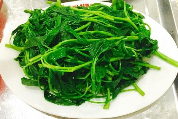 Mách chị em cách hoa mẫu đơn nở nhanh như ý, đảm bảo bung xòe mướt mắt-3