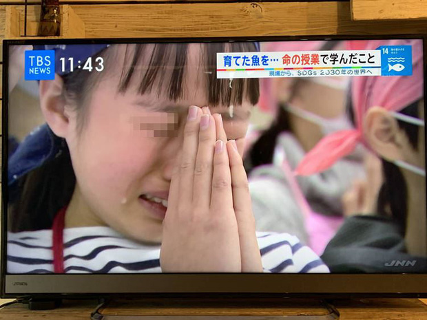 Lớp học ở Nhật gây phẫn nộ vì bắt học sinh giết mổ và ăn thịt con vật do chính tay mình nuôi-1