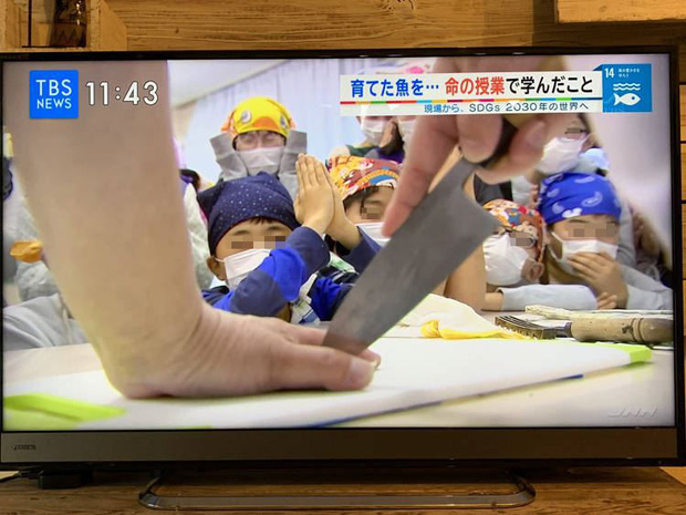 Lớp học ở Nhật gây phẫn nộ vì bắt học sinh giết mổ và ăn thịt con vật do chính tay mình nuôi-2