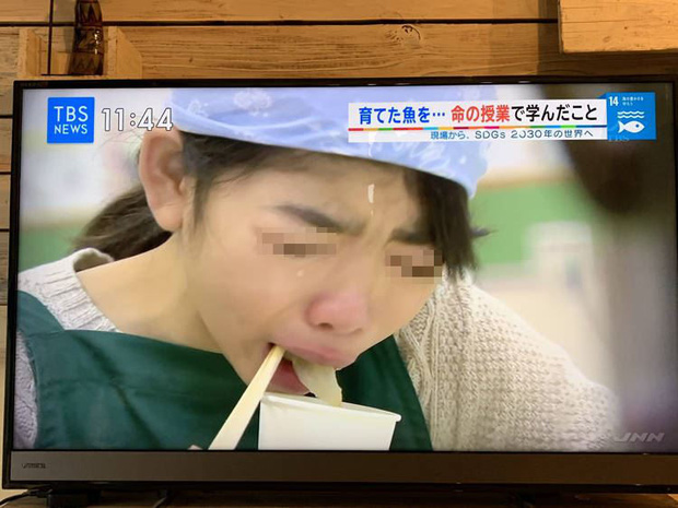 Lớp học ở Nhật gây phẫn nộ vì bắt học sinh giết mổ và ăn thịt con vật do chính tay mình nuôi-3