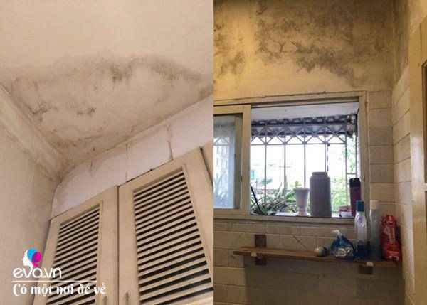 Thuê căn hộ ẩm thấp rộng 45m2, 9X đập đi xây lại khiến ai nhìn cũng thích mê-8