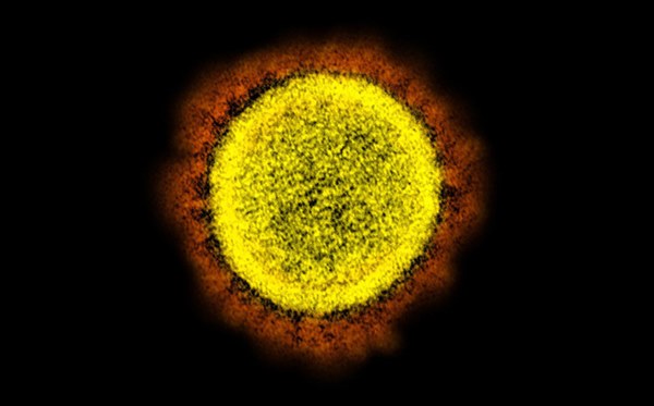 Phát hiện kinh ngạc về nguồn gốc các ca lây nhiễm ở New York: Đa số không tới từ châu Á, mà từ 1 ổ dịch khác-1