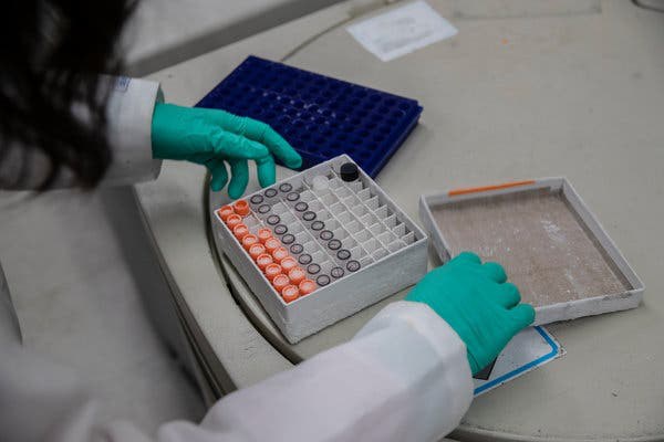 Phát hiện kinh ngạc về nguồn gốc các ca lây nhiễm ở New York: Đa số không tới từ châu Á, mà từ 1 ổ dịch khác-2