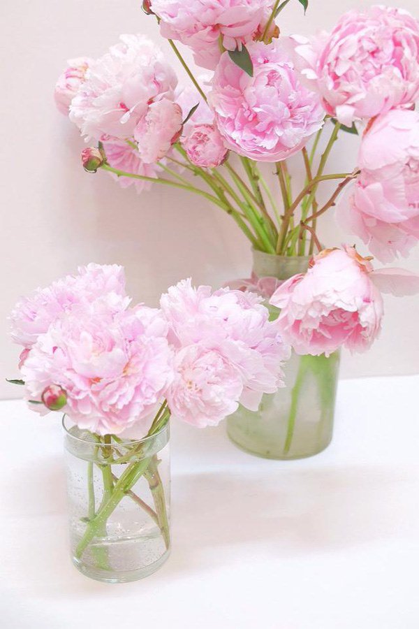 Mách chị em cách hoa mẫu đơn nở nhanh như ý, đảm bảo bung xòe mướt mắt-1