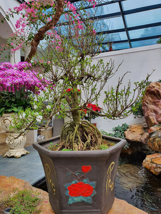 Cận cảnh biệt thự triệu đô mới tậu của vợ chồng Tuấn Hưng, nhìn bàn ăn tân gia mà choáng-7