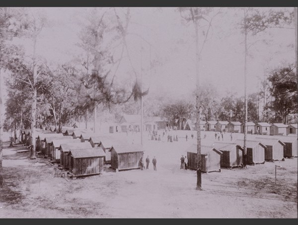 Những bằng chứng khủng khiếp chứng minh biến đổi khí hậu đã giải phóng virus bệnh tật từ động vật hoang dã vào con người-2