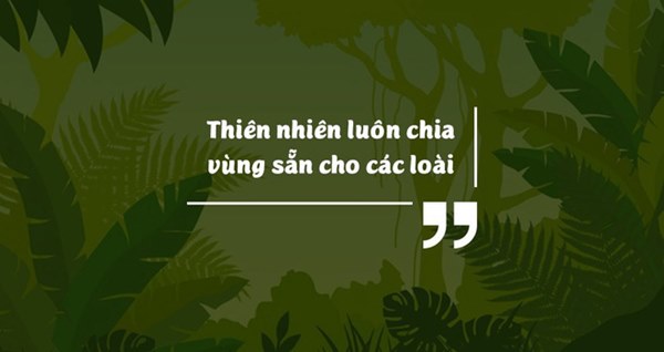 Những bằng chứng khủng khiếp chứng minh biến đổi khí hậu đã giải phóng virus bệnh tật từ động vật hoang dã vào con người-8