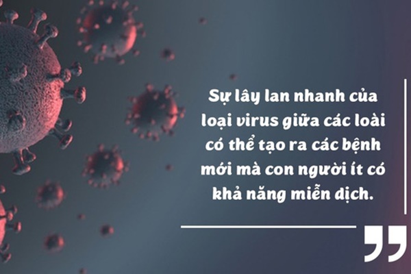 TS. Từ Ngữ: Thói quen nào khi rửa bát, đũa tiềm ẩn nguy cơ lây lan dịch bệnh?-3
