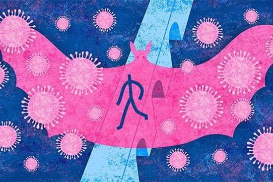 Vì sao dơi' - 'siêu' vật chủ mang nhiều virus gây bệnh mà vẫn sống khỏe?