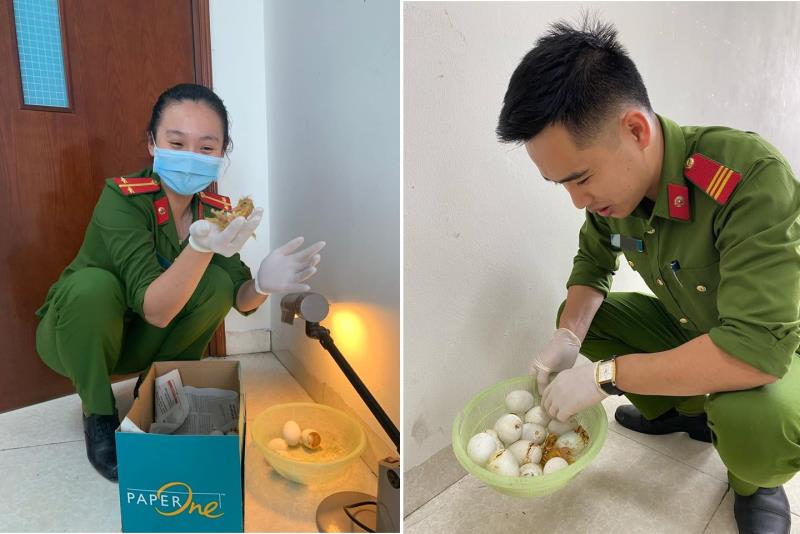Dân tặng quà quý, chiến sĩ công an thành bảo mẫu bất đắc dĩ của đàn vịt-2