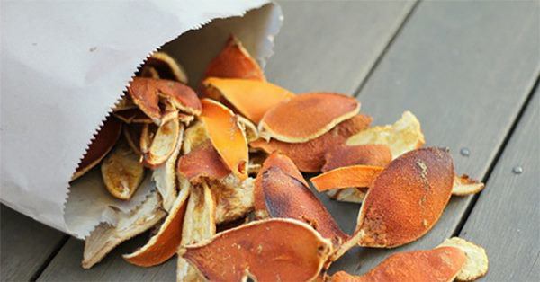 Mẹo khiến muỗi chết cả đàn chỉ với một lon bia, hiệu quả hơn dùng bình xịt-4