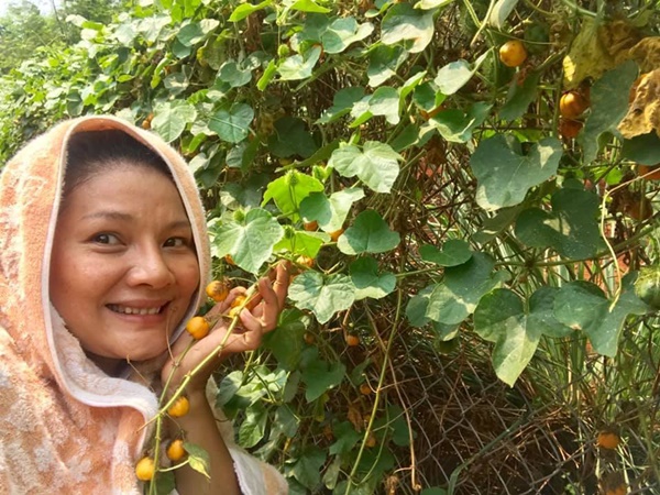 Quyền Linh và nhiều sao Việt chăm vườn trái cây khi về quê-7