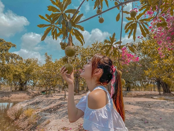 Quyền Linh&nbsp;và nhiều sao Việt chăm vườn trái cây khi về quê-9