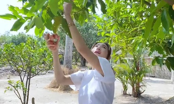 Quyền Linh&nbsp;và nhiều sao Việt chăm vườn trái cây khi về quê-10