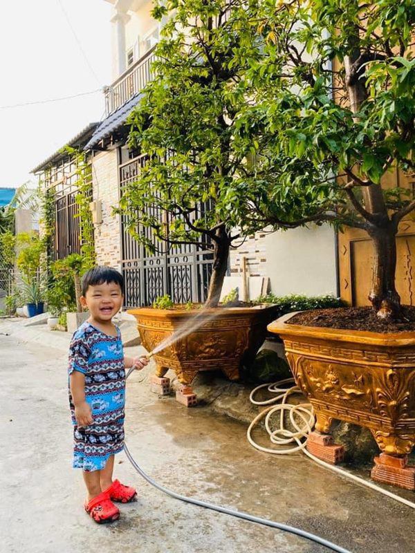 Thành Đạt tận dụng đất trống để trồng rau, thành quả khiến Hải Băng và các con thích thú-9