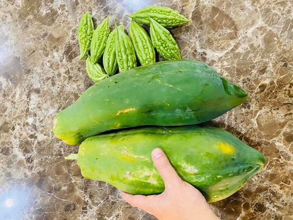 Thành Đạt tận dụng đất trống để trồng rau, thành quả khiến Hải Băng và các con thích thú-10