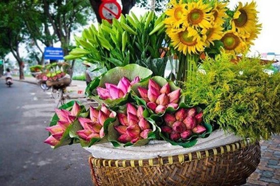 Nắm vững những nguyên tắc này, các mẹ ra chợ tiện tay cũng mua được hoa đẹp hết ý